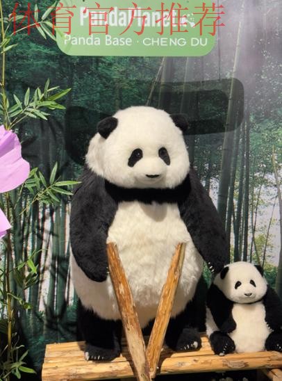 《熊猫说球》第二十三集：规则的精神和调整